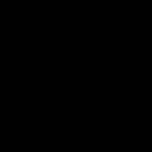 Meet your Posher, Nadine